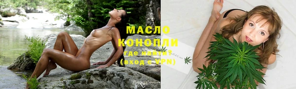 тгк Абаза