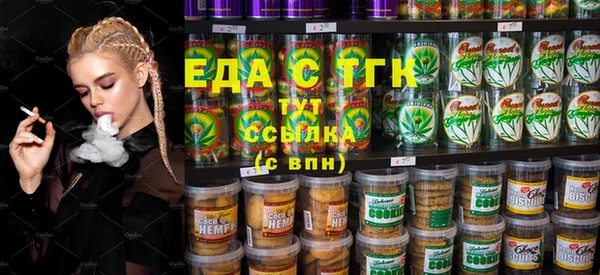 тгк Абаза
