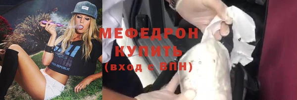 хмурый Пересвет