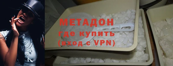 хмурый Пересвет