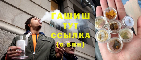 дмт Болотное