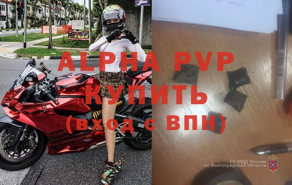 хмурый Пересвет