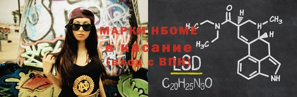 хмурый Пересвет