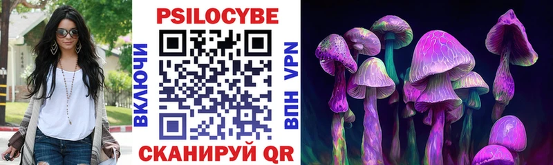 где найти   ОМГ ОМГ рабочий сайт  Галлюциногенные грибы Cubensis  Пудож 