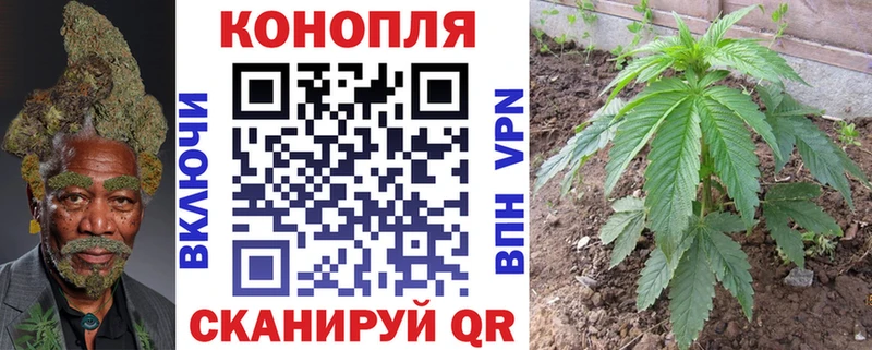 Канабис ГИДРОПОН  Пудож 